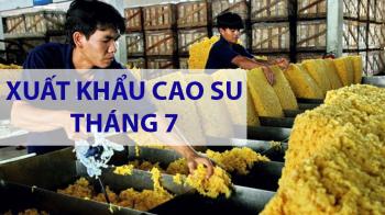 7 THÁNG 2019, XUẤT KHẨU CAO SU TĂNG - TRUNG QUỐC TIẾP TỤC LÀ THỊ TRƯỜNG CHỦ LỰC