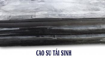 CAO SU TÁI SINH