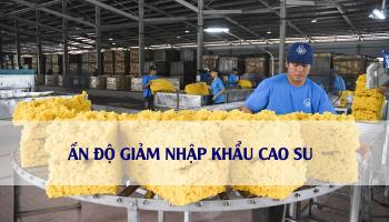ẤN ĐỘ GIẢM NHẬP KHẨU CAO SU TỪ HÀN QUỐC, VIỆT NAM, INDONESIA.