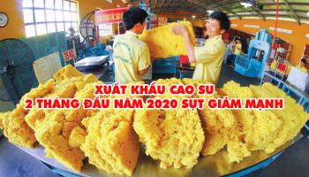 XUẤT KHẨU CAO SU 2 THÁNG ĐẦU NĂM 2020 SỤT GIẢM MẠNH