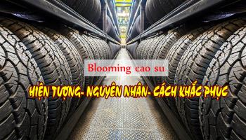 HIỆN TƯỢNG BLOOMING CAO SU- NGUYÊN NHÂN VÀ CÁCH KHẮC PHỤC