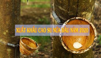 XUẤT KHẨU CAO SU NỬA ĐẦU NĂM 2020 GIẢM MẠNH