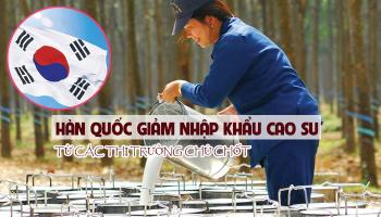 HÀN QUỐC GIẢM GIÁ TRỊ NHẬP KHẨU CAO SU TỪ CÁC THỊ TRƯỜNG CHÍNH.