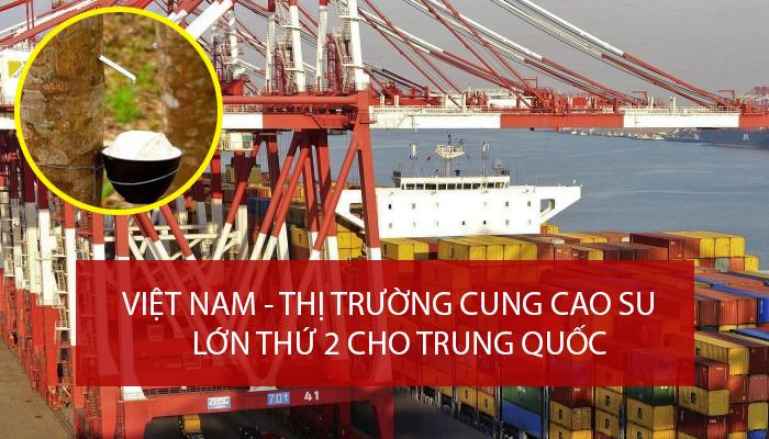 VIỆT NAM - THỊ TRƯỜNG CUNG CẤP CAO SU LỚN THỨ 2 CHO TRUNG QUỐC 