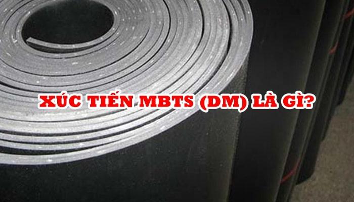INTRODUCTION TO RUBBER ACCELERATOR MBTS (DM)