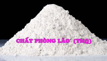 TMQ ANTI-AGING AGENTS 