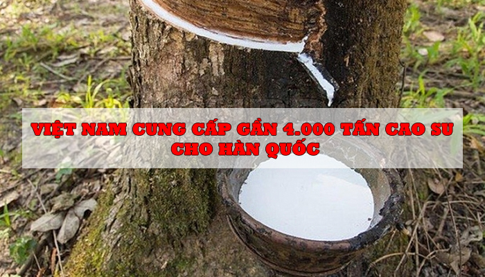  VIETNAM SUPPLIED KOREA WITH NEARLY 4,000 TONS OF RUBBER 