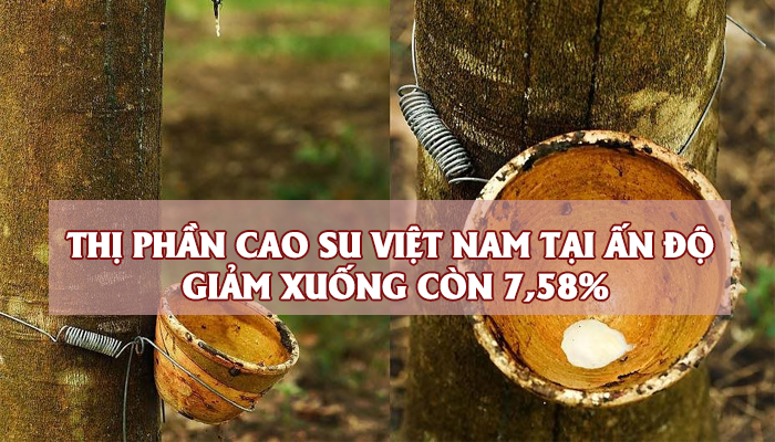 VIETNAM RUBBER MARKET SHARE IN INDIA DECREASED TO 7.58%