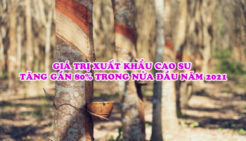 GIÁ TRỊ XUẤT KHẨU CAO SU NỬA ĐẦU NĂM 2021 TĂNG GẦN 80%