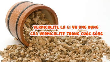 INTRODUCTION TO VERMICULITE AND ITS APPLICATION 