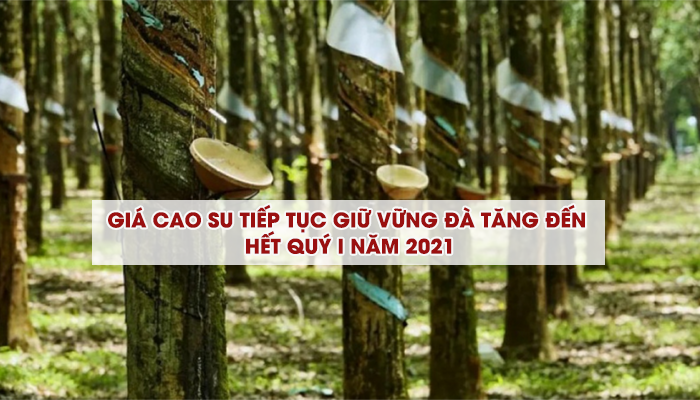 RUBBER PRICE CONTINUES TO KEEP INCREASING TILL 2021