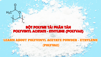 TÌM HIỂU VỀ BỘT POLYME TÁI PHÂN TÁN POLYVINYL ACETATE - ETHYLENE (POLYVAE)