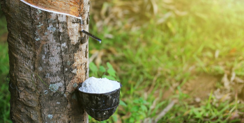 RUBBER PRICES UNLIKELY TO INCREASE UNTIL JANUARY 2023