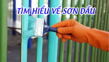 TÌM HIỂU VỀ SƠN DẦU