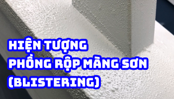 HIỆN TƯỢNG PHỒNG RỘP MÀNG SƠN (Blistering)
